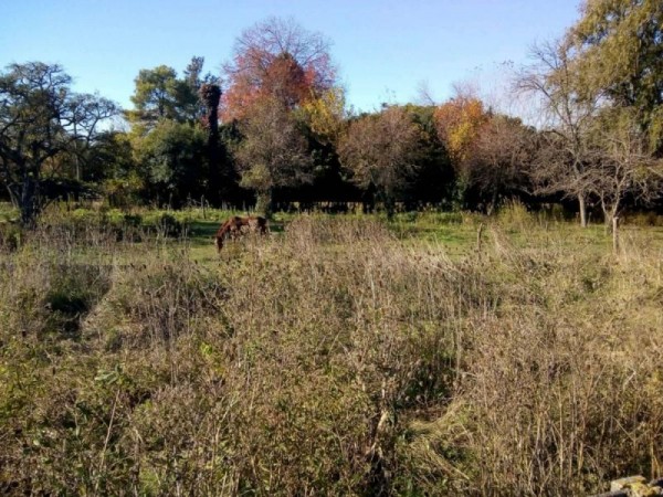 Venta De Lotes Amplios En Marcos Paz
