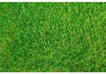 Lote Ideal Inversor En Castelar Norte